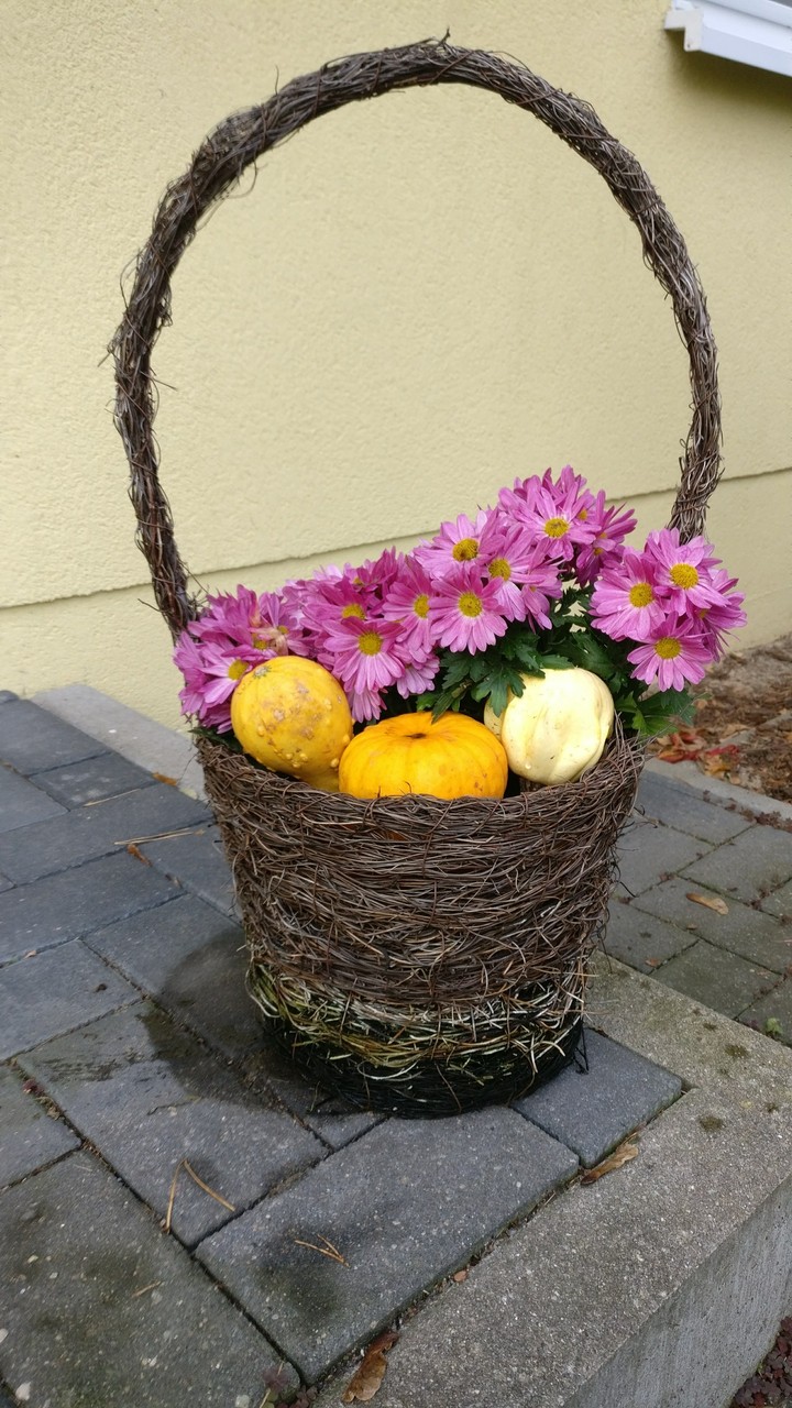 Herbst im Garten