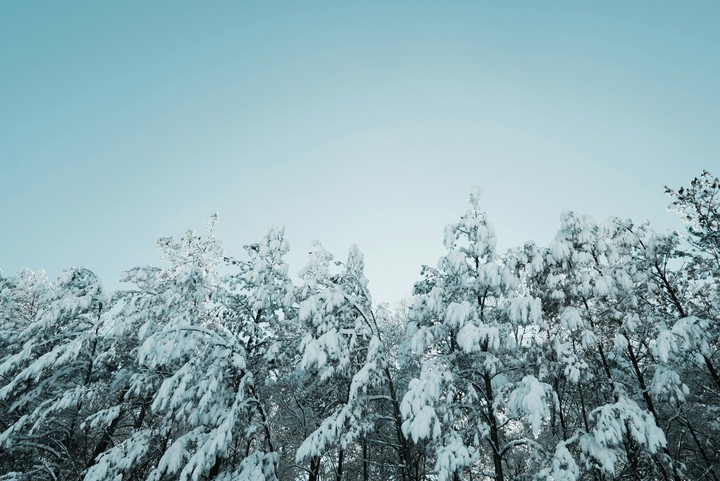 snow