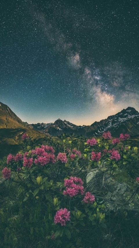 biome, landscapes壁纸