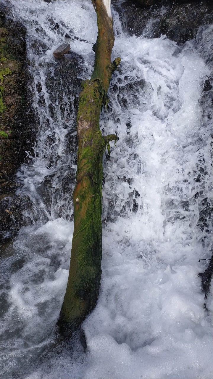 Waterfalls - Cascade