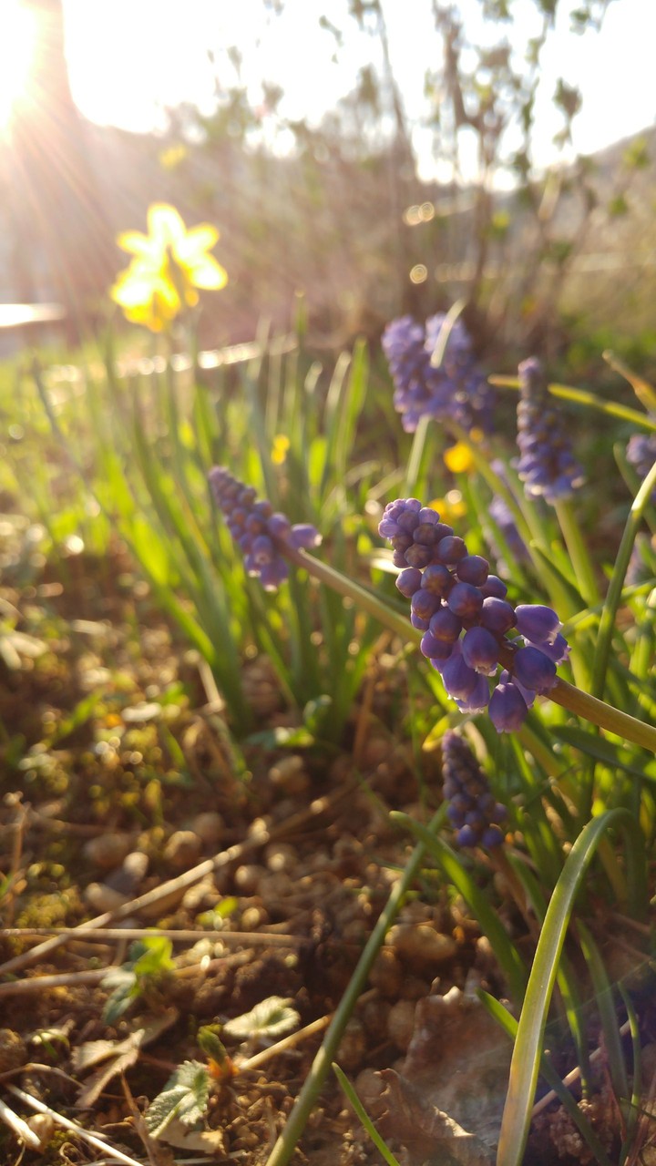 beautiful pitcure