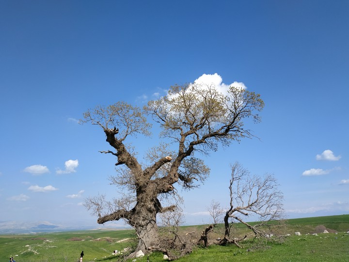 kurdistan