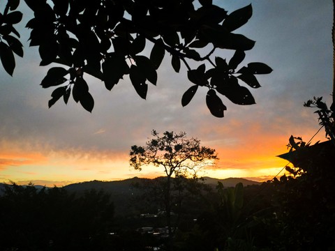sunset