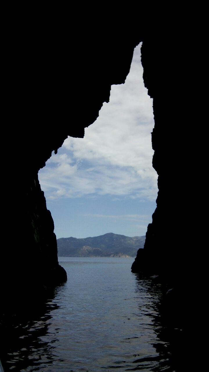 Corse Symbol