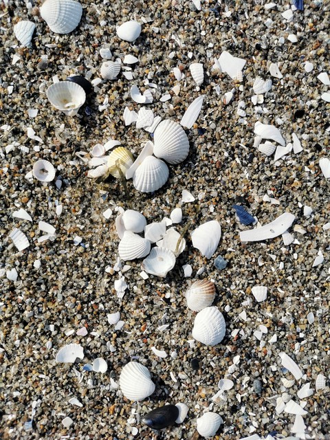 Am Strand