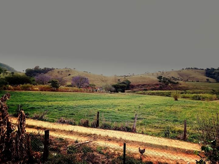 fazenda