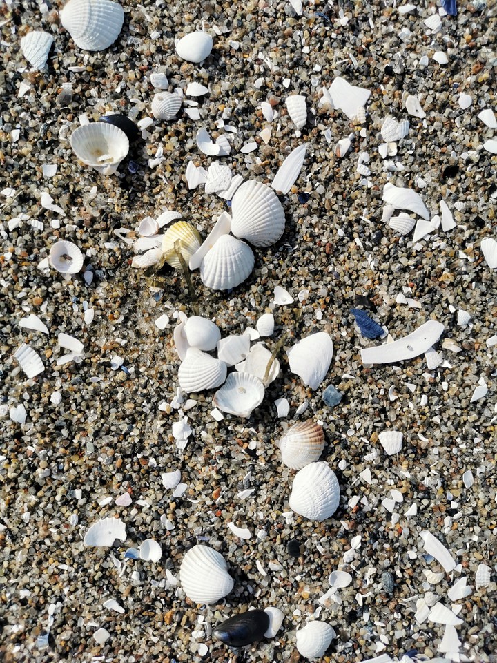Am Strand