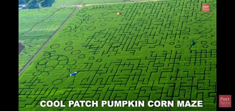 World largest maze