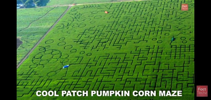 World largest  maze