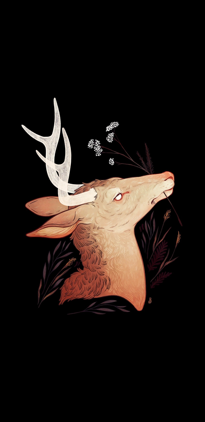 Raindeer