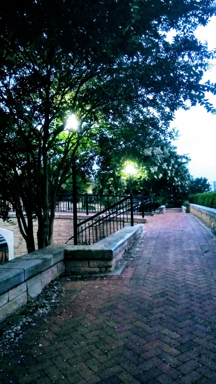 pathway