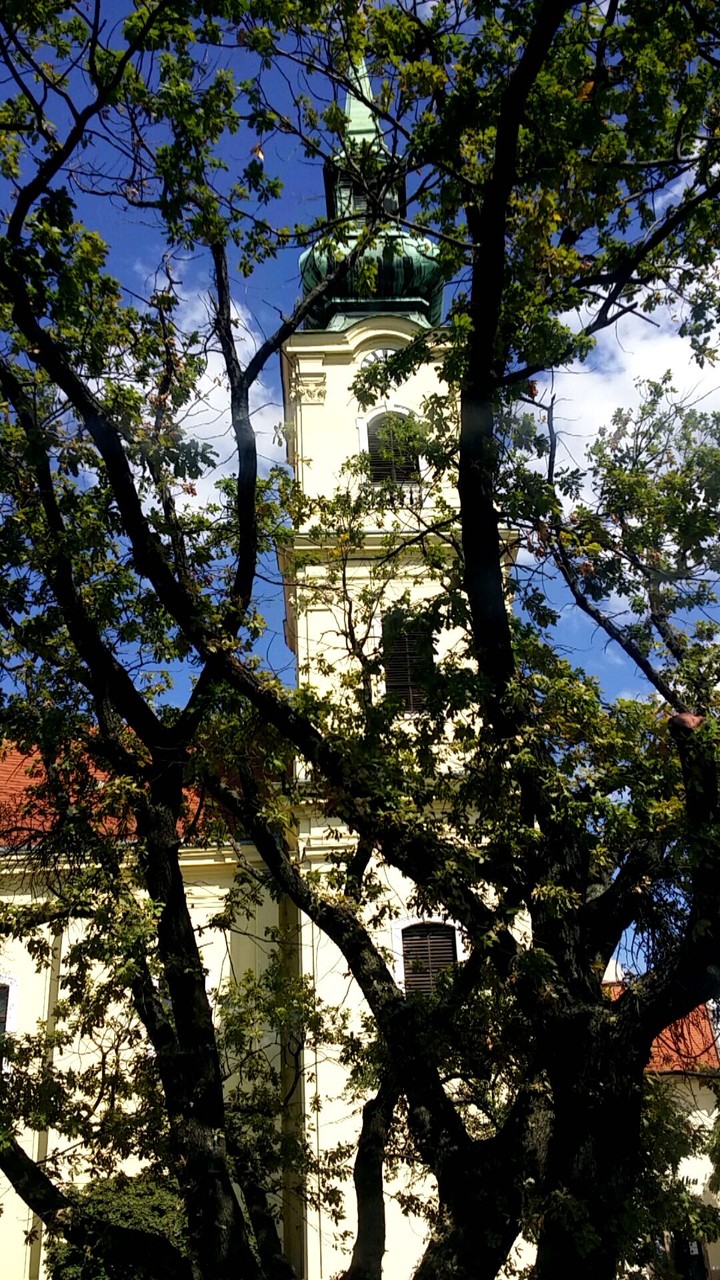 tree