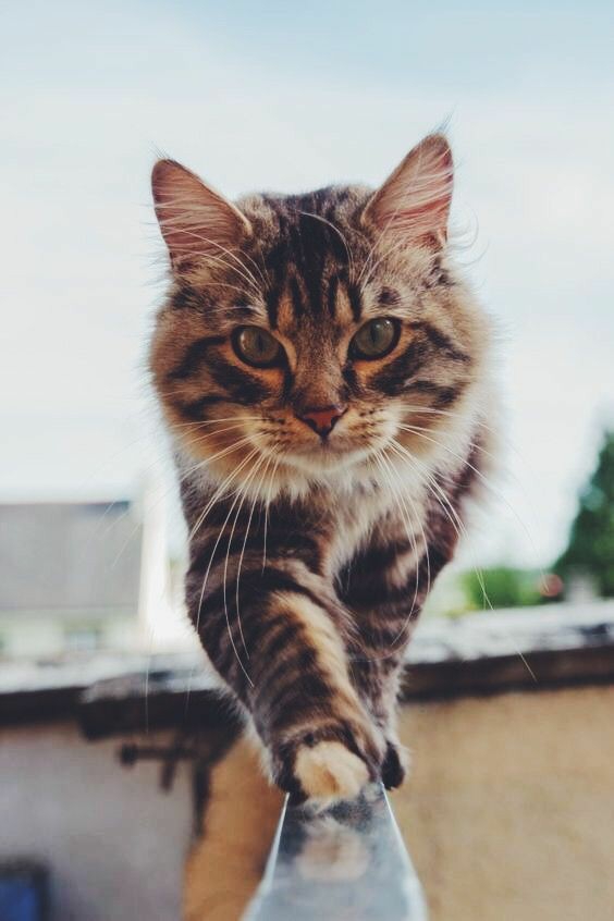 ❤❤❤