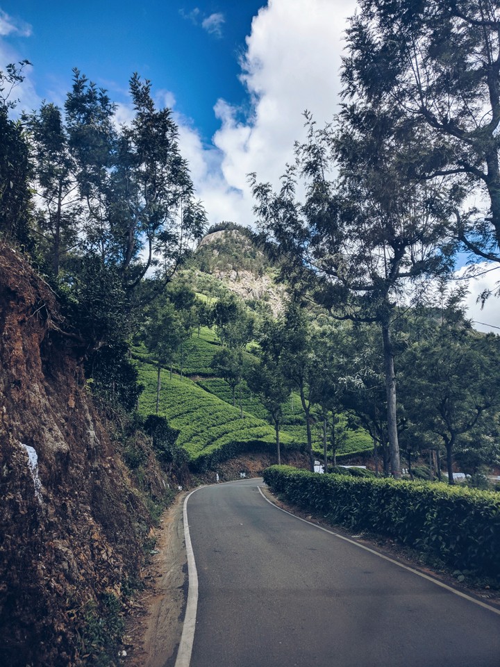 journey through nature