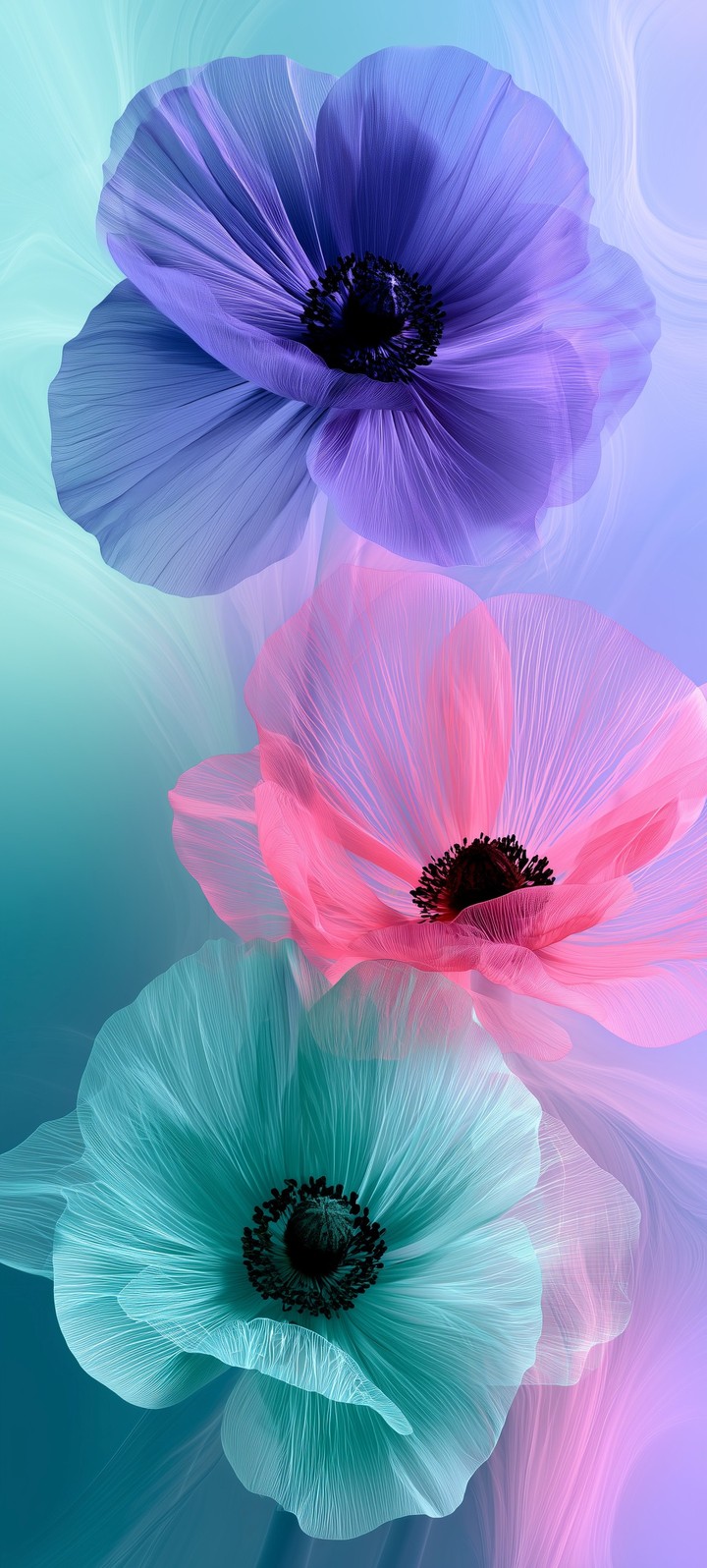 Blossom, flower Hintergrundbilder