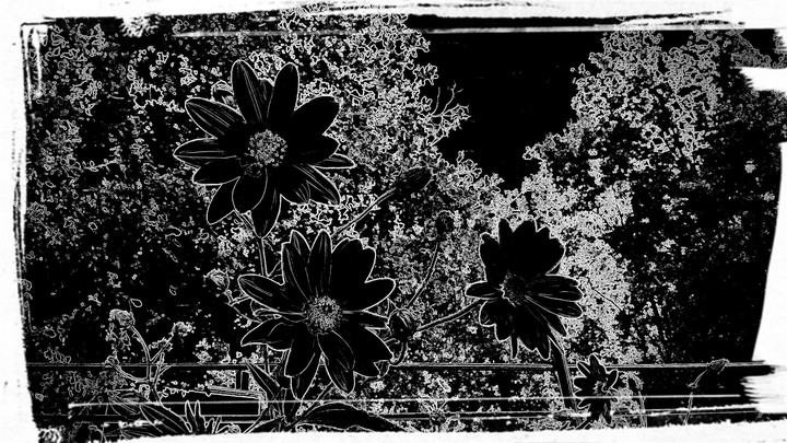 Black and White