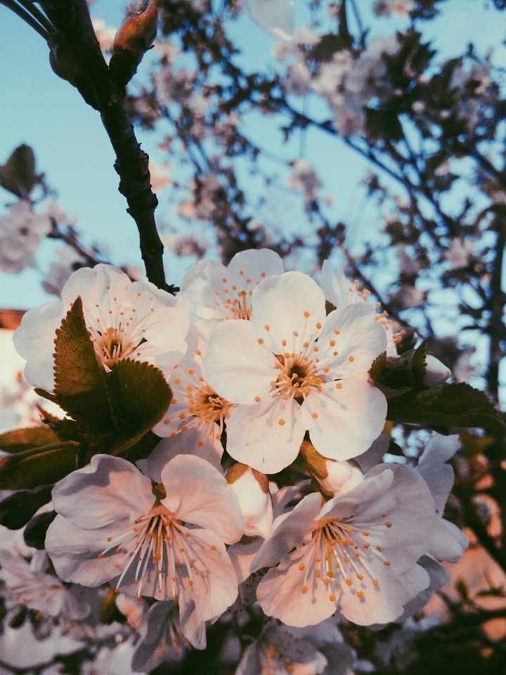 Beautiful