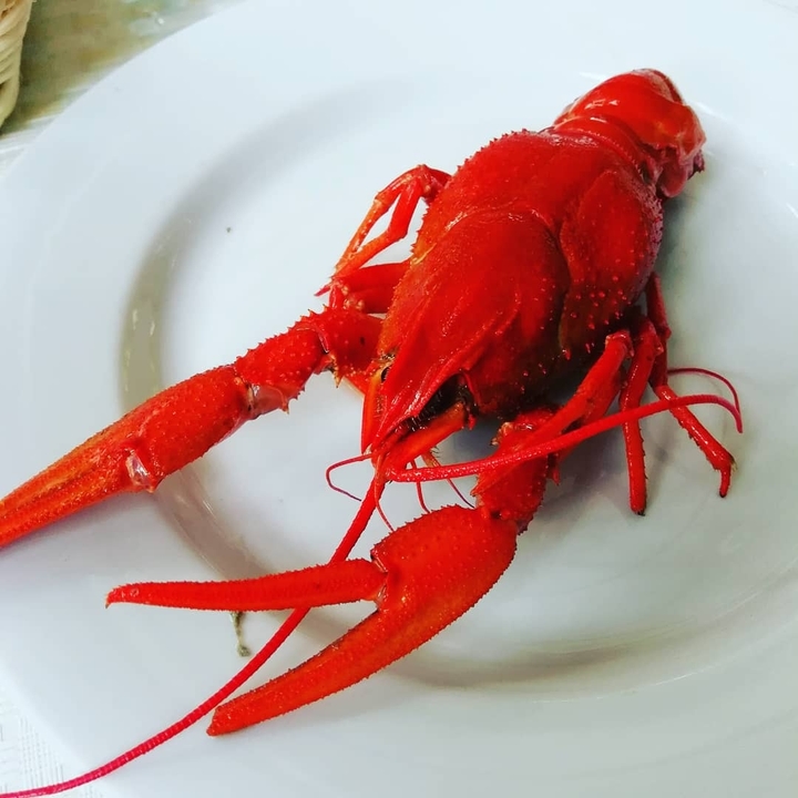 рак