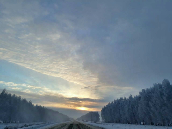 winter