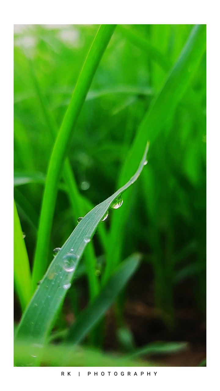 water drop