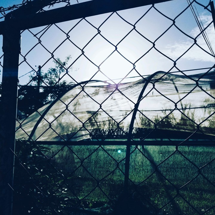 life behind the fence