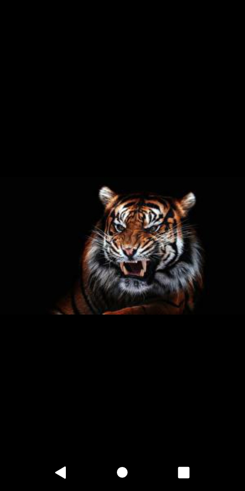 Der Tiger