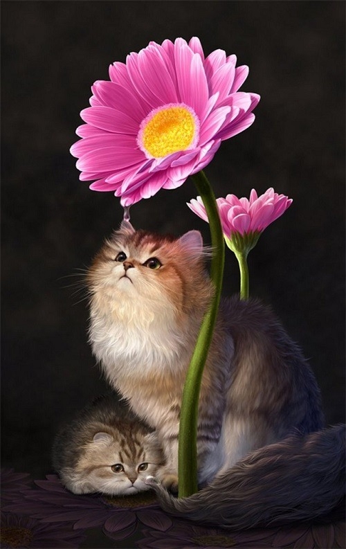 cat & gerbera