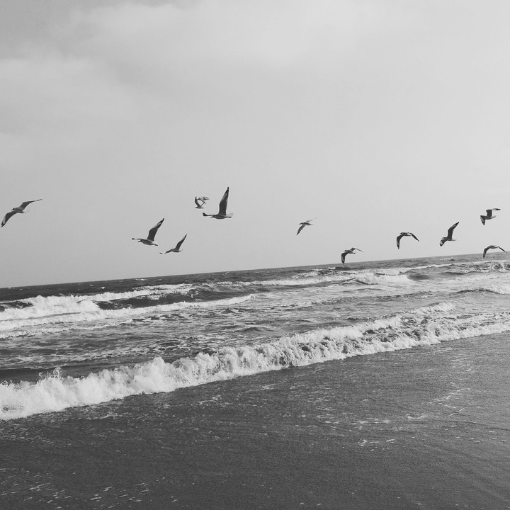 Towards freedom