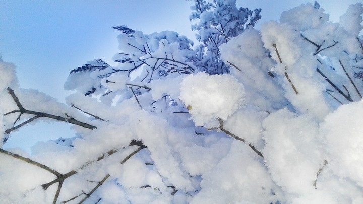 зима