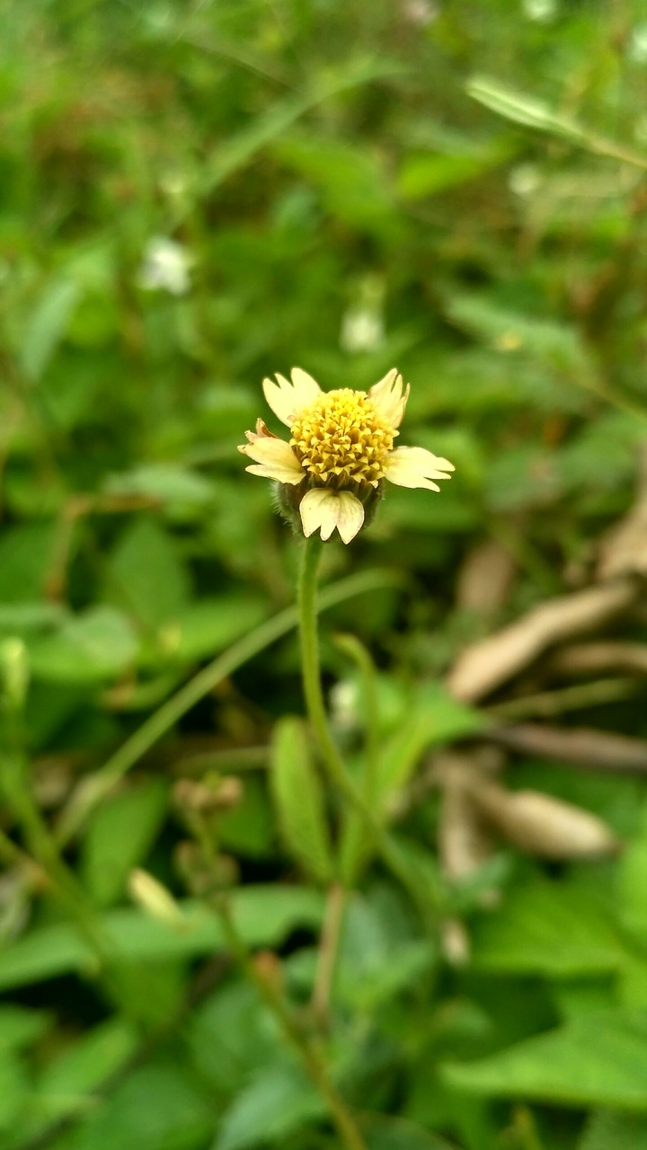 Alone