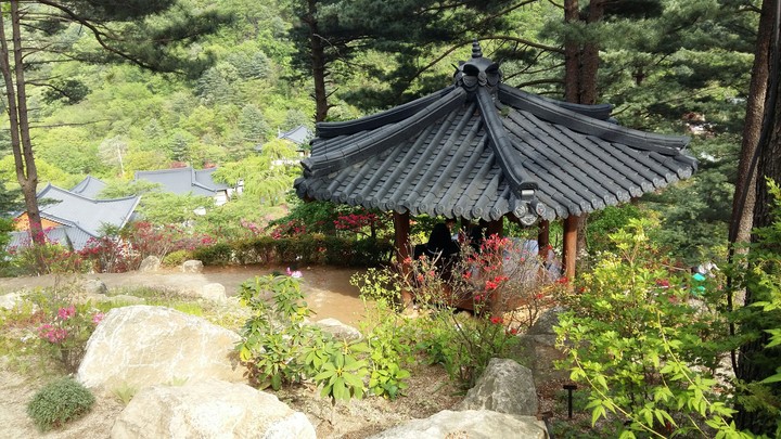 아침고요수목원