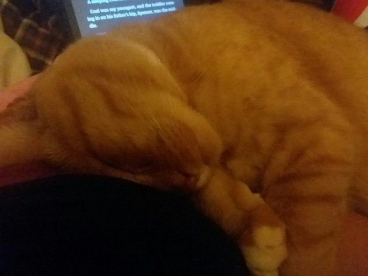 I Know your trying TO READ, I'm trying to SLEEP!!