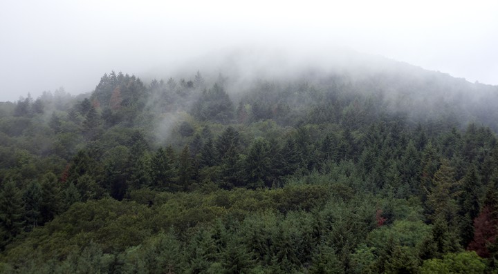 Head in the clouds
