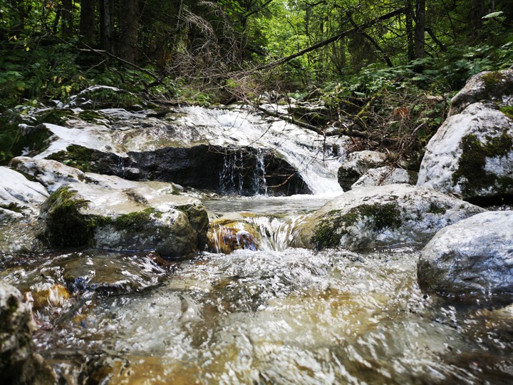 love nature