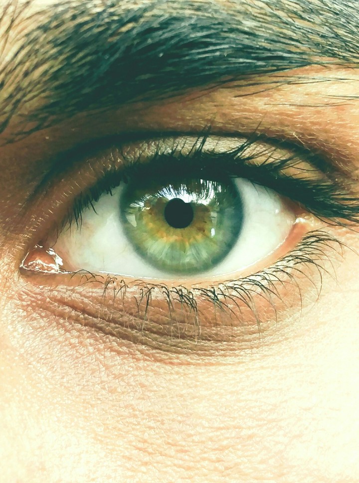 eyes
