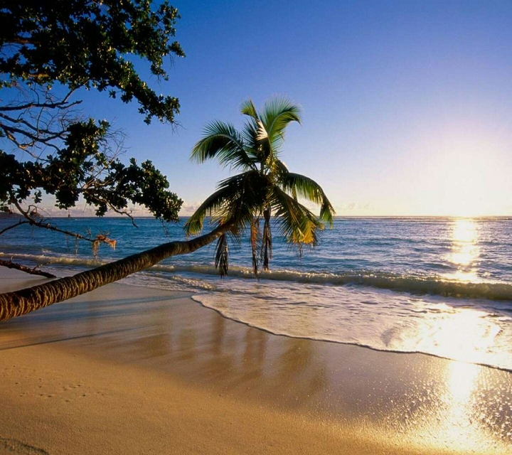 Sea