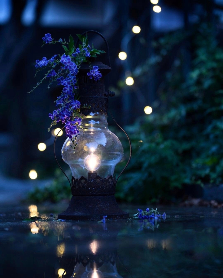 Latern
