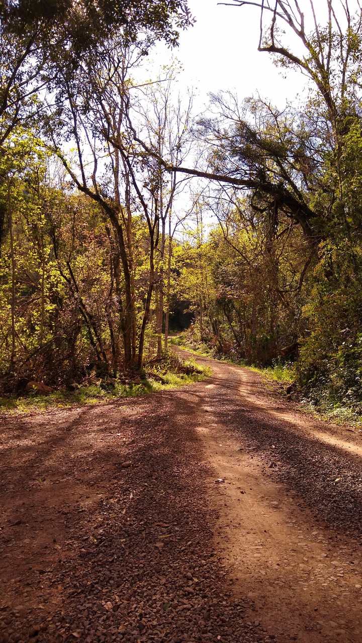 Estrada de Terra
