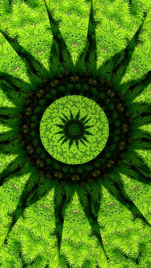 Green sun