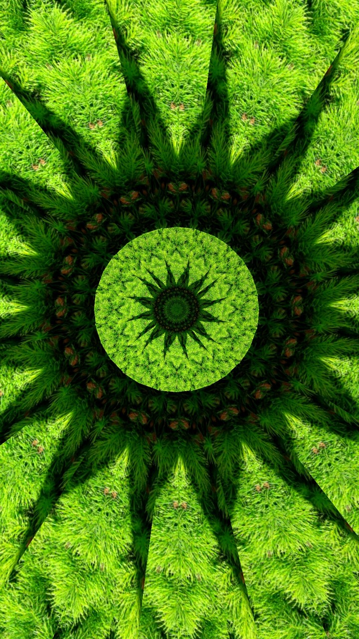 Green sun