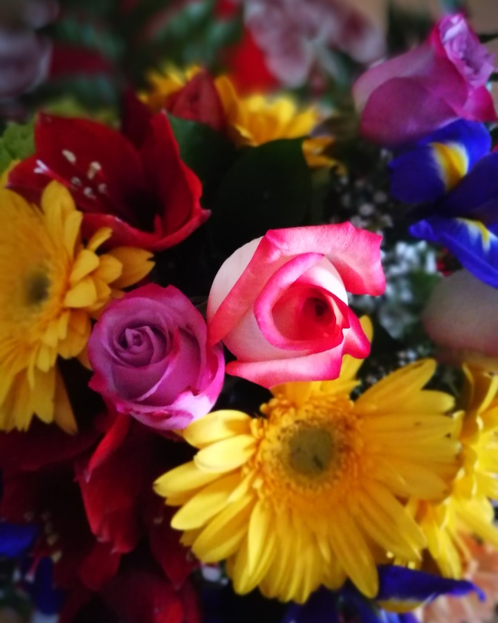 flower