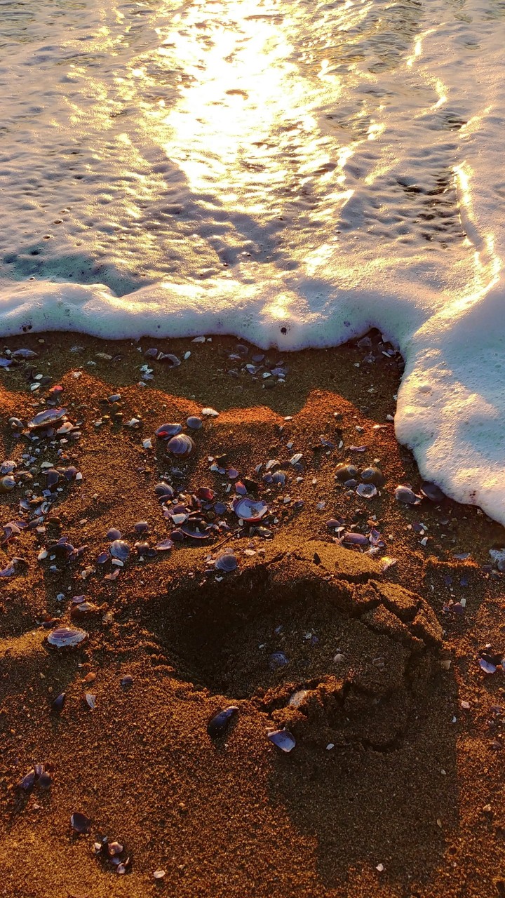 sunset on sand