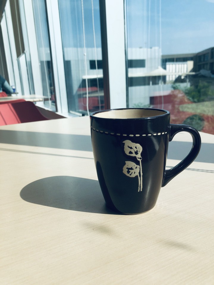 morning lights