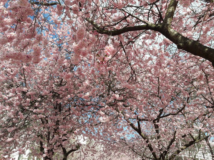 Frühling