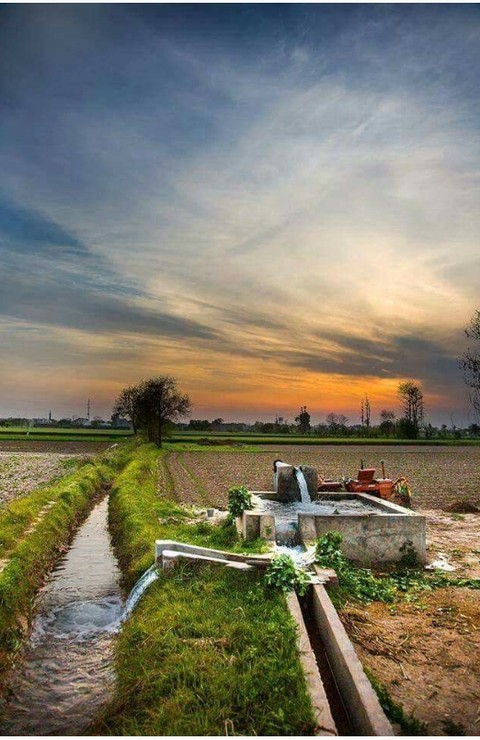 Indian nature