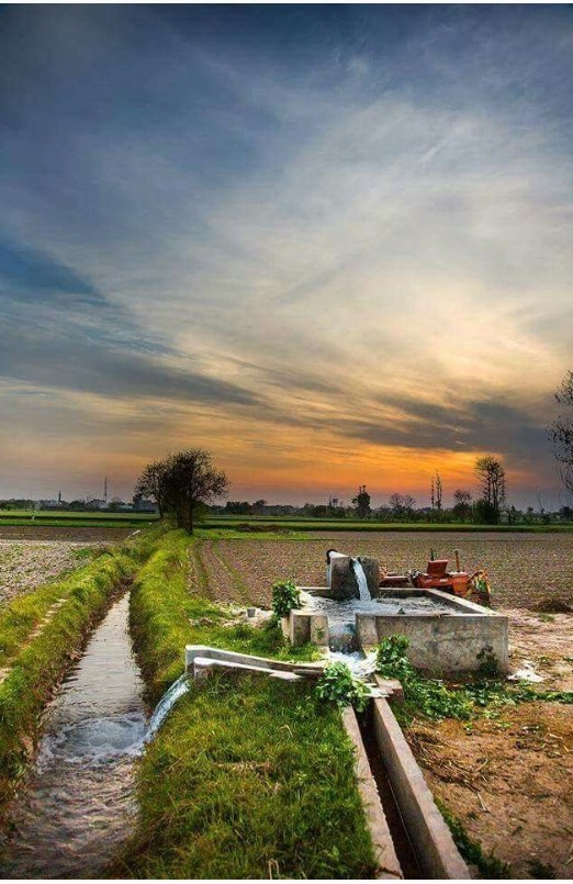 Indian nature