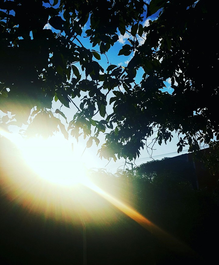 sol
