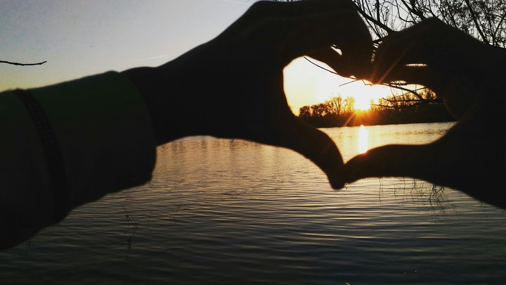 The sun