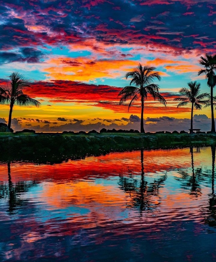 Nature