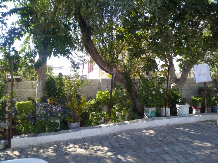 Bahçe